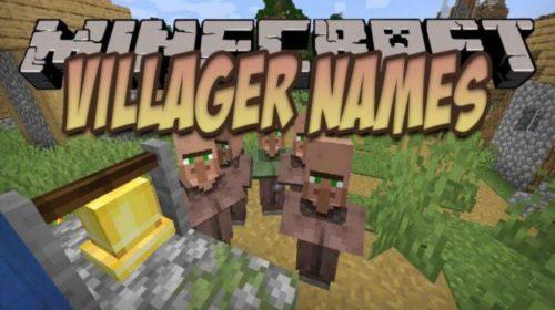 Villager Names - Уникальные имена у деревенских жителей (1.15.2, 1.14.4, 1.12.2)